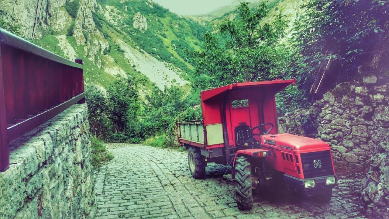 El Caleyon Bed and Breakfast Bulnes Εξωτερικό φωτογραφία